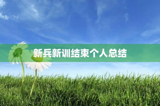 新兵新训结束个人总结