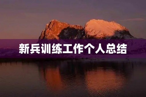 新兵训练工作个人总结