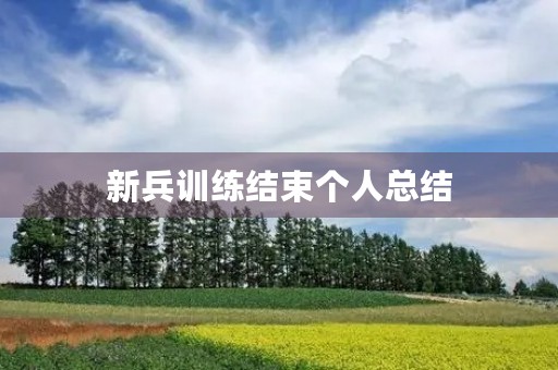 新兵训练结束个人总结
