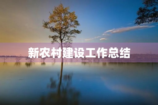 新农村建设工作总结