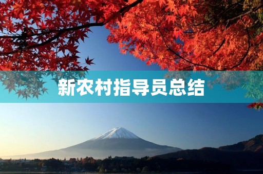 新农村指导员总结