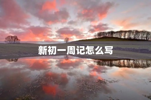 新初一周记怎么写 新初一周记怎么写
