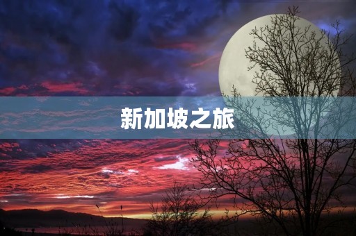 新加坡之旅 新加坡之旅