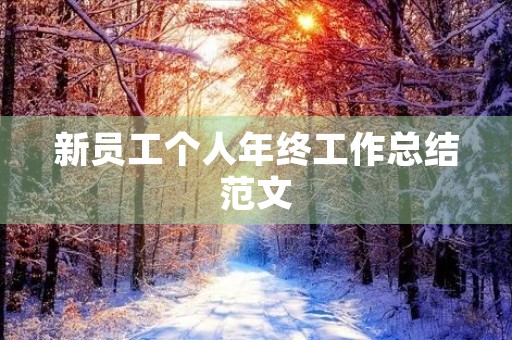 新员工个人年终工作总结范文 新员工个人年终工作总结范文