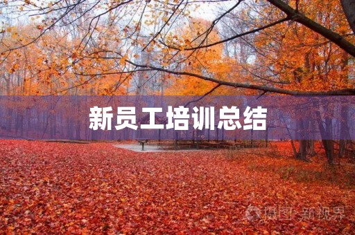 新员工培训总结