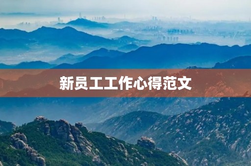 新员工工作心得范文