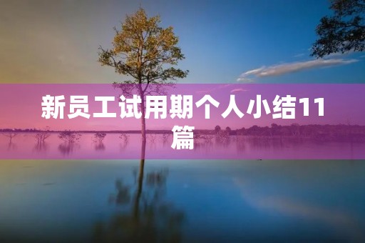 新员工试用期个人小结11篇