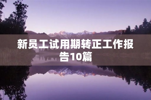 新员工试用期转正工作报告10篇