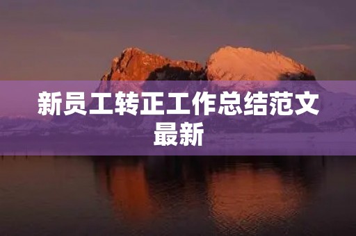 新员工转正工作总结范文最新 新员工转正工作总结范文最新