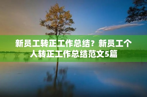 新员工转正工作总结?新员工个人转正工作总结范文5篇 新员工转正工作总结?新员工个人转正工作总结范文5篇