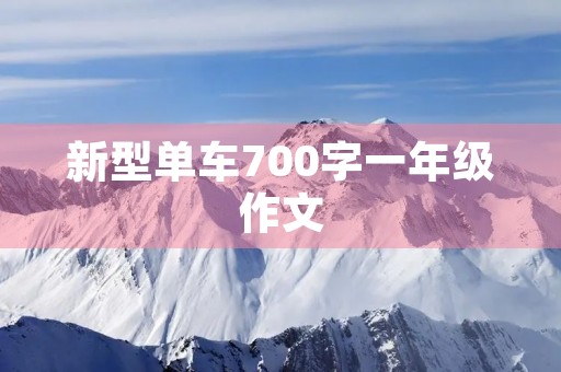 新型单车700字一年级作文