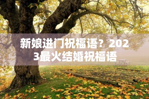 新娘进门祝福语?2023最火结婚祝福语