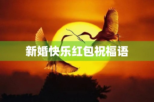 新婚快乐红包祝福语(结婚红包语录)