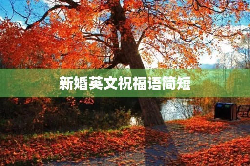 新婚英文祝福语简短(新婚贺语八个字)