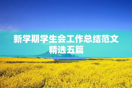 新学期学生会工作总结范文精选五篇