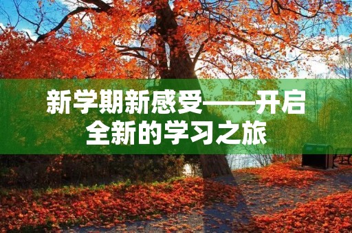 新学期新感受——开启全新的学习之旅
