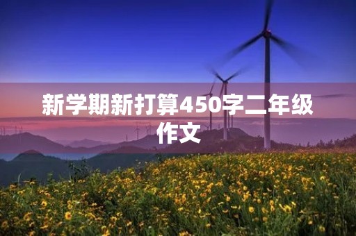 新学期新打算450字二年级作文