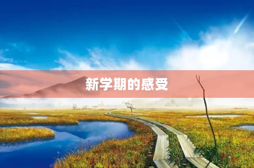新学期的感受 新学期的感受