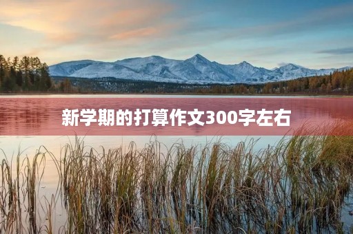 新学期的打算作文300字左右