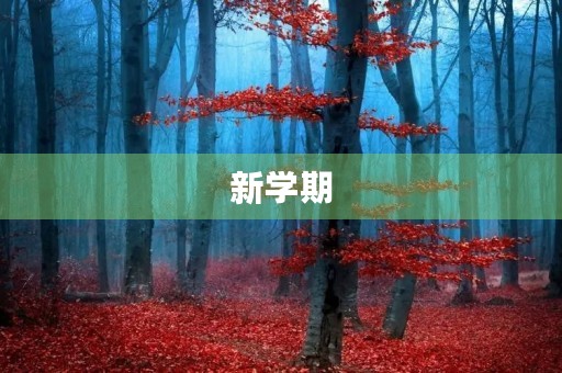 新学期，我要做好这些打算