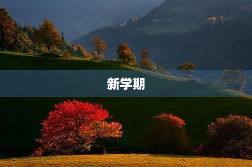 新学期,新打算 新学期,新打算