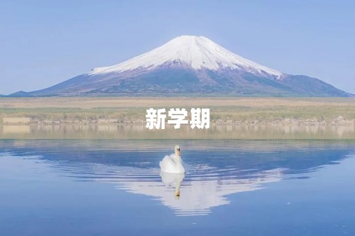 新学期，新气象900字