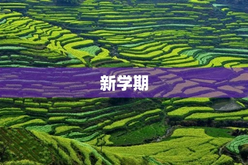 新学期，新的畅想