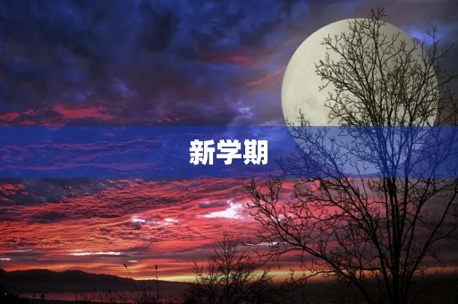 新学期，新起点，新挑战