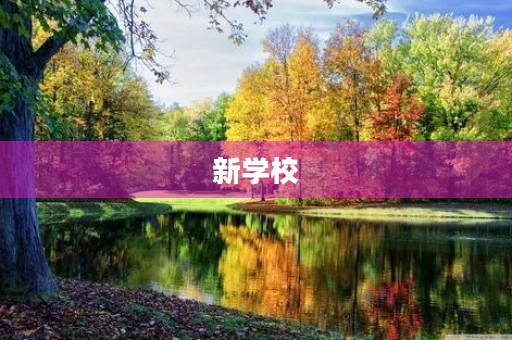 新学校 新学校