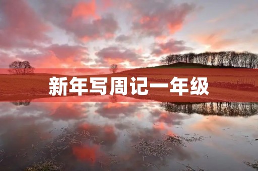 新年写周记一年级