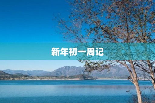 新年初一周记
