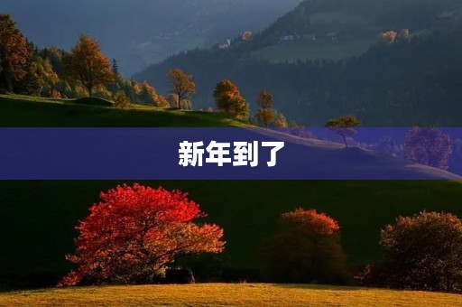 新年到了，送上微信朋友圈祝福语，让我们共同迎接这个全新的时代！