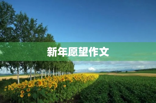 新年愿望作文