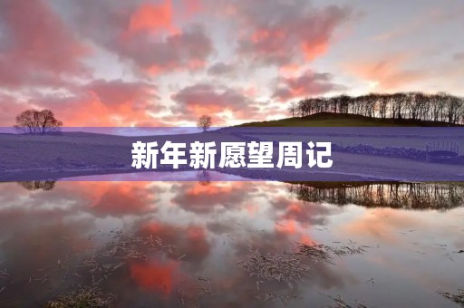 新年新愿望周记 新年新愿望周记