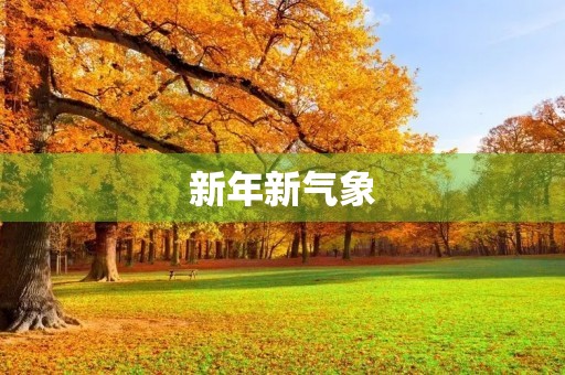 新年新气象，元旦感悟