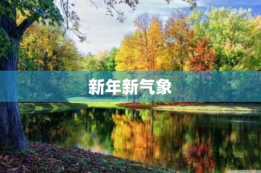 新年新气象，元旦日记