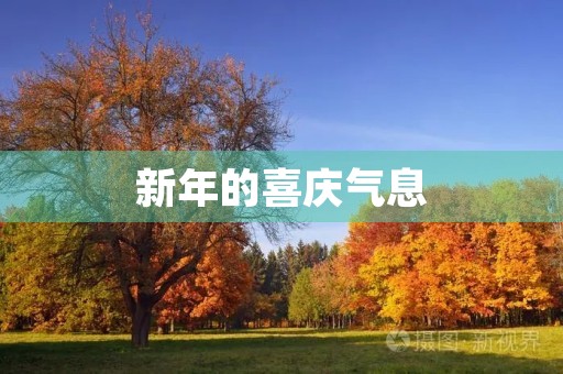 新年的喜庆气息