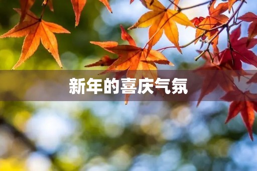 新年的喜庆气氛 新年的喜庆气氛