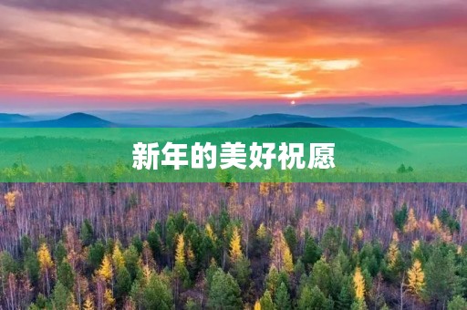 新年的美好祝愿 新年的美好祝愿