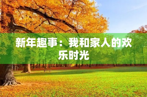 新年趣事：我和家人的欢乐时光
