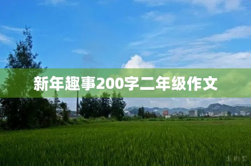 新年趣事200字二年级作文