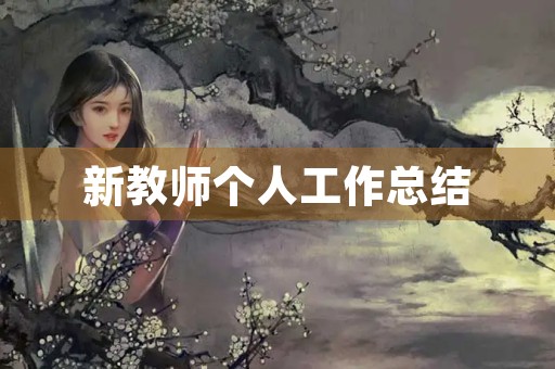 新教师个人工作总结