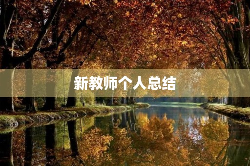 新教师个人总结