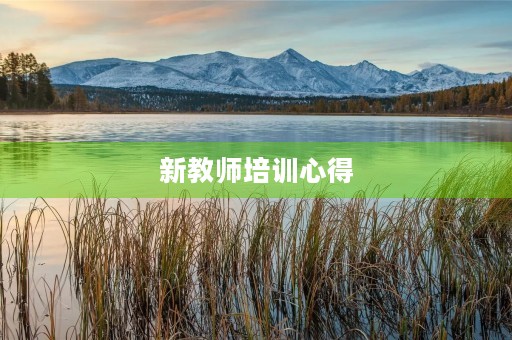 新教师培训心得
