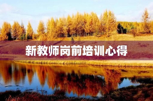 新教师岗前培训心得