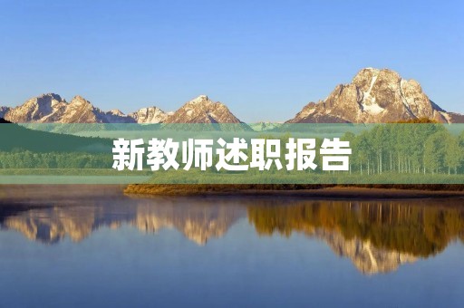 新教师述职报告