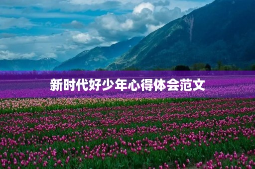 新时代好少年心得体会范文 新时代好少年心得体会范文
