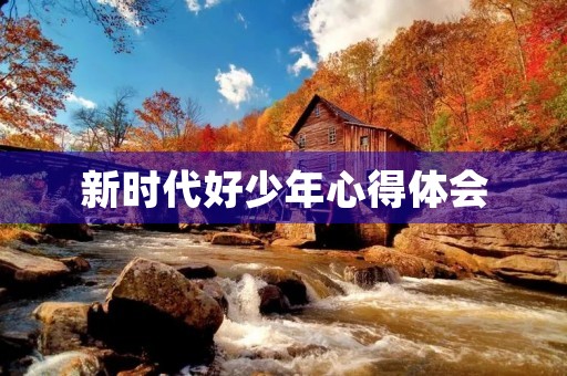 新时代好少年心得体会