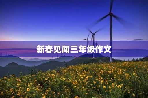 新春见闻三年级作文 新春见闻三年级作文
