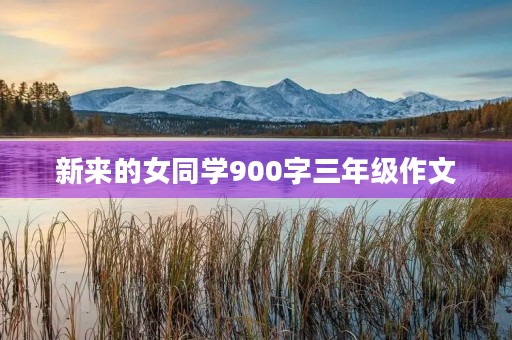 新来的女同学900字三年级作文